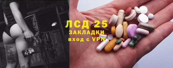 сатива Орск