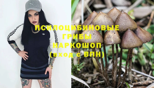 ALPHA-PVP Медногорск