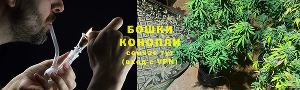 сатива Мегион