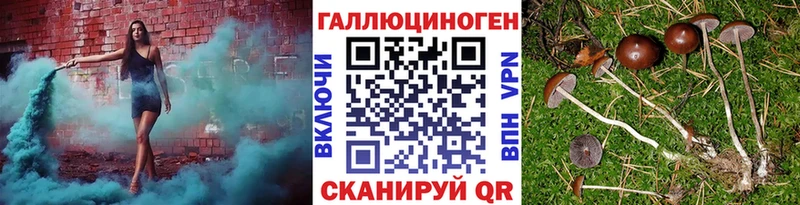 сайты даркнета телеграм  Павлово  Галлюциногенные грибы прущие грибы 