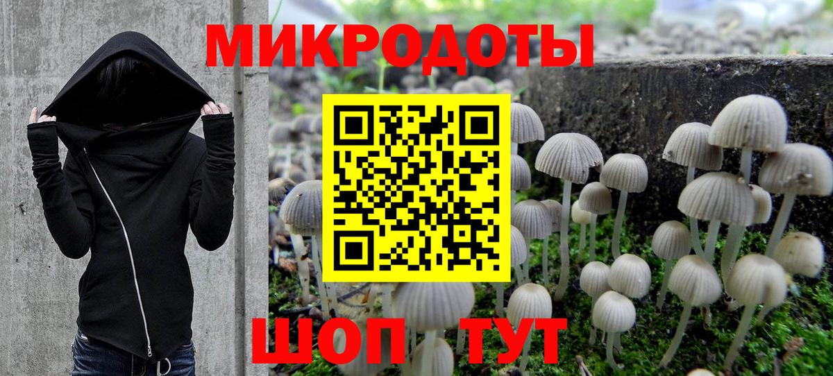 Псилоцибиновые грибы MAGIC MUSHROOMS Павлово