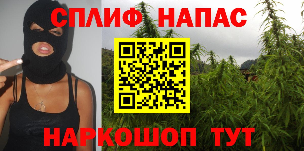 Шишки марихуана семена  Шишки марихуана SATIVA & INDICA  Марихуана конопля  Павлово  Вход с VPN 
